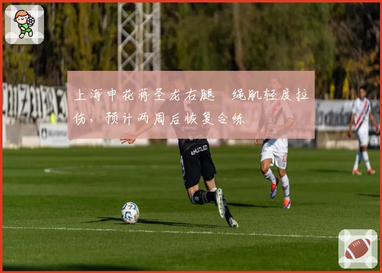 上海申花蒋圣龙右腿腘绳肌轻度拉伤,预计两周后恢复合练