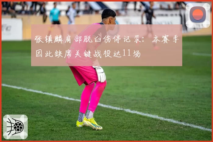 张镇麟肩部脱臼伤停记录:本赛季因此缺席关键战役达11场