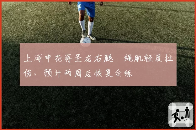 上海申花蒋圣龙右腿腘绳肌轻度拉伤,预计两周后恢复合练
